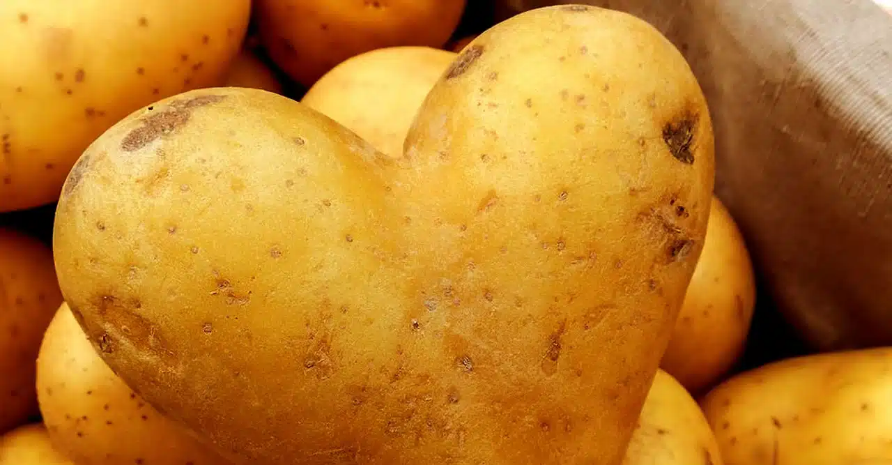 Pomme de terre crue pour soin de la peau