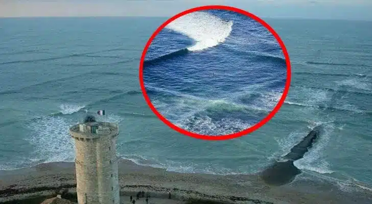 Observation des vagues depuis la plage