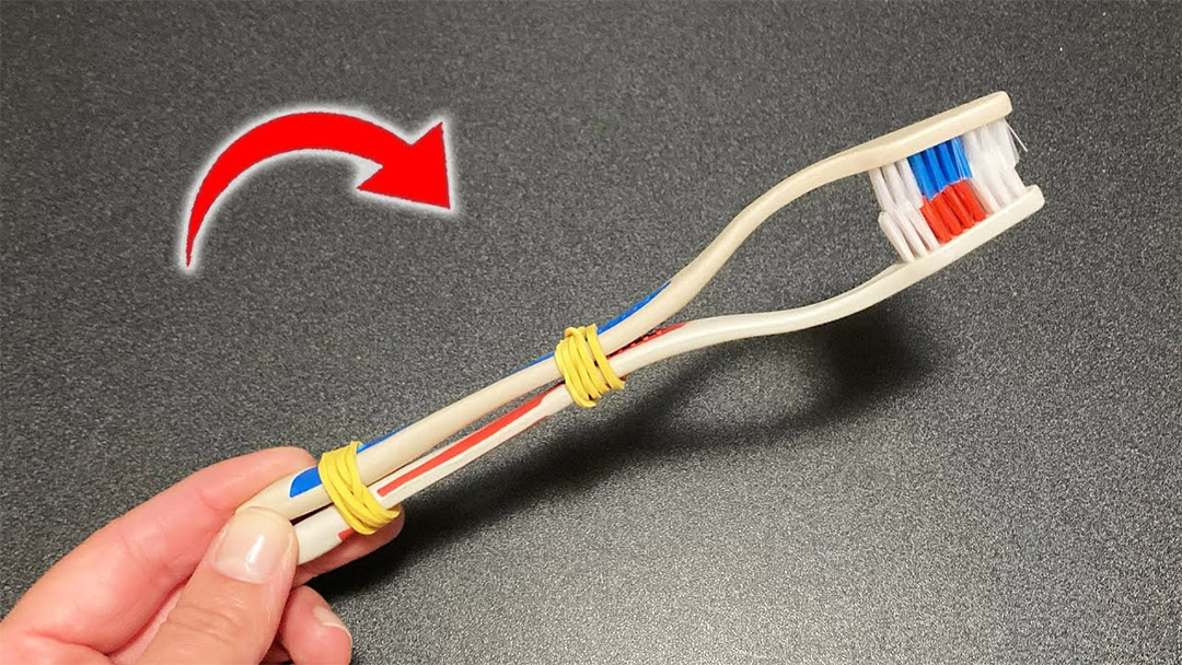 Brosse à dents modifiée pour casser des coquilles