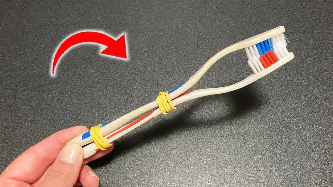 Brosse à dents modifiée pour casser des coquilles