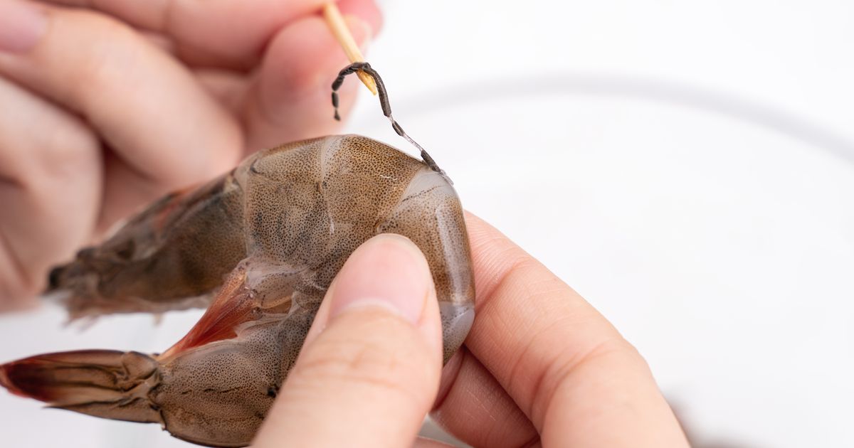Gros plan sur une crevette montrant sa veine noire