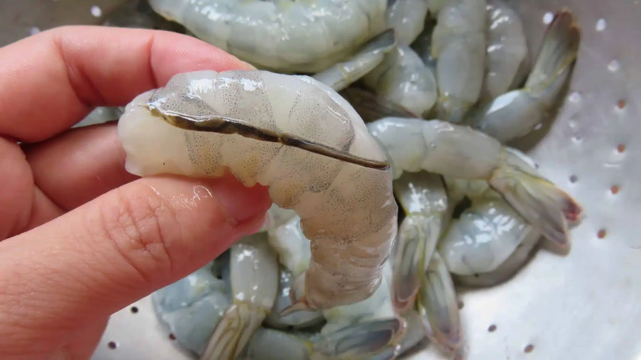 Crevettes cuites avec leur veine apparente