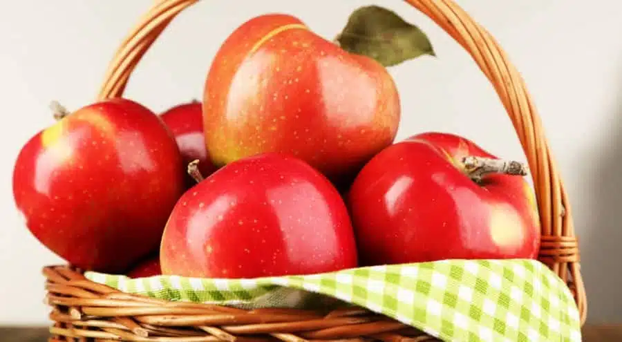 Pommes riches en vitamines