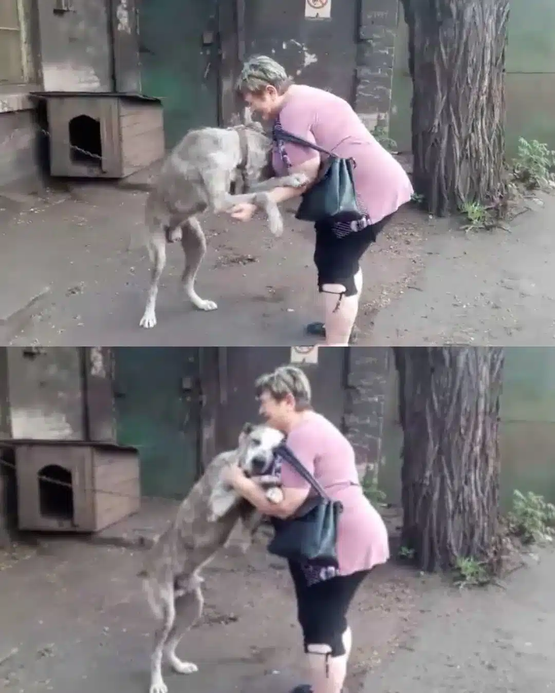 Retrouvailles entre Claire et Lucky