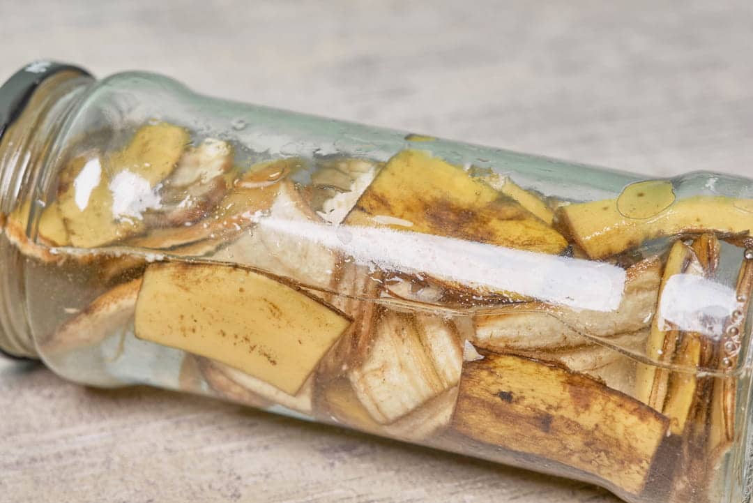 Préparation du liquide dans un bocal en verre avec des pelures