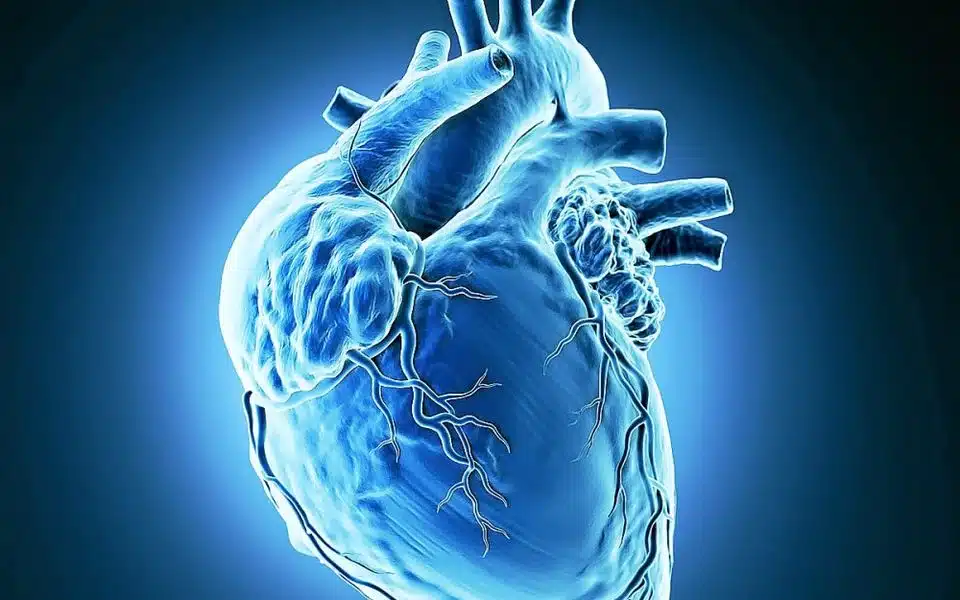 Coeur et soda