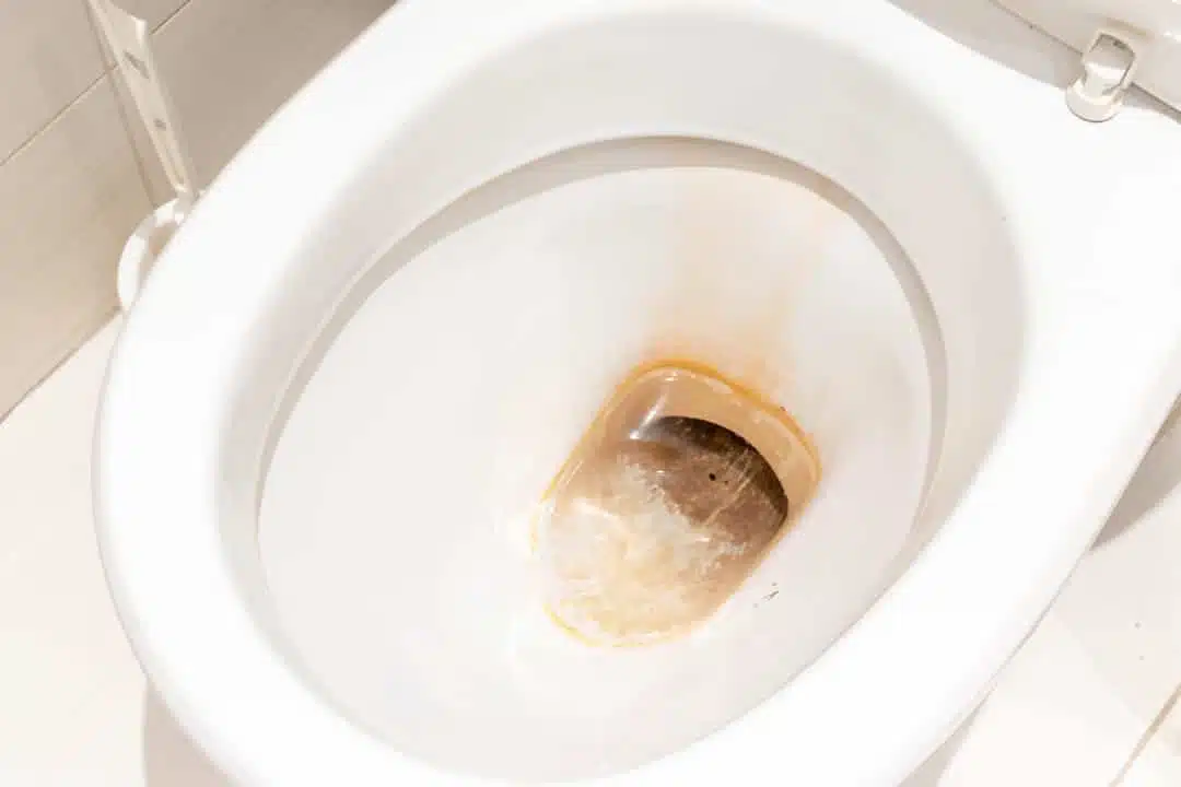 Cuvette de WC tachée