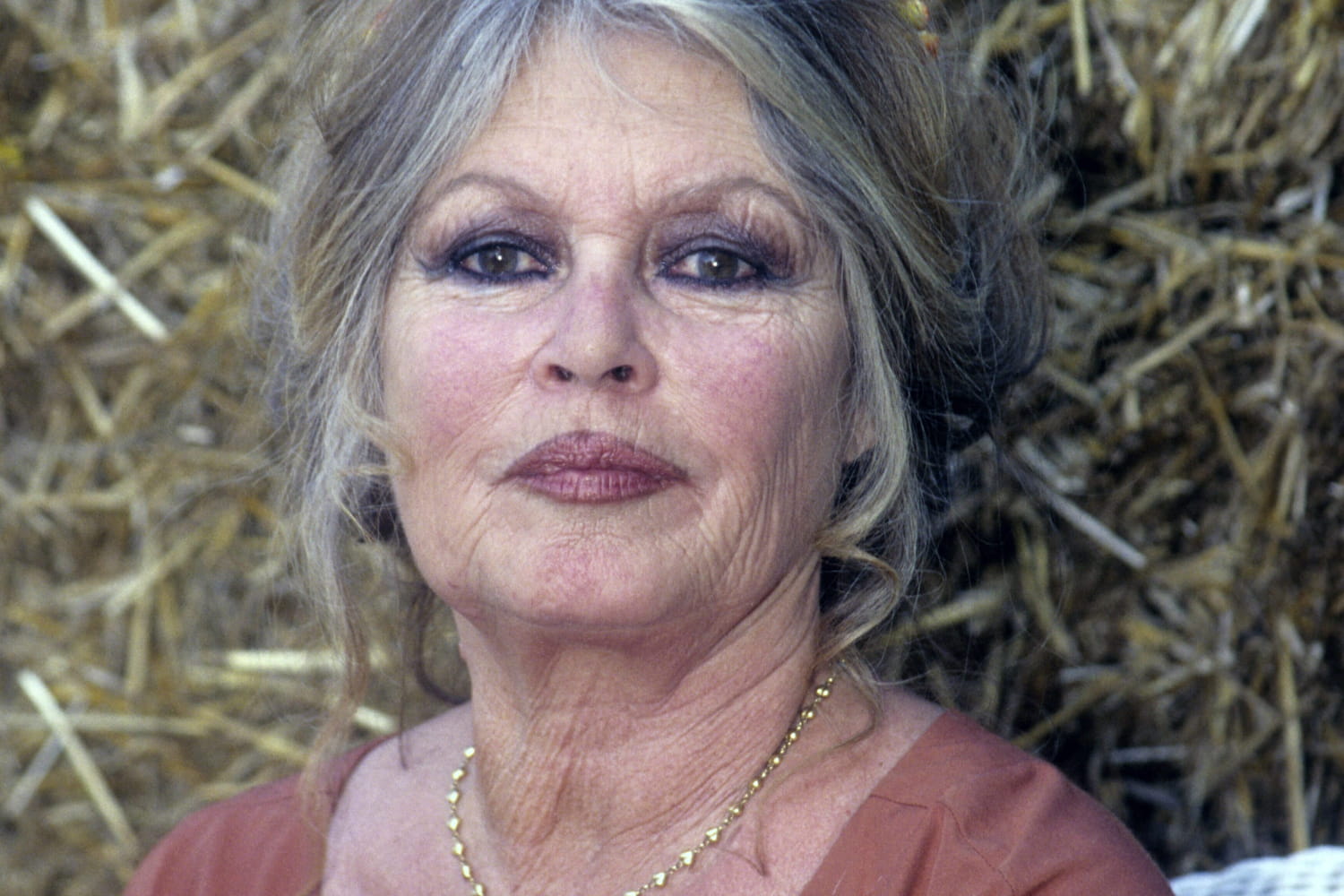Brigitte Bardot plus âgée, regard pensif
