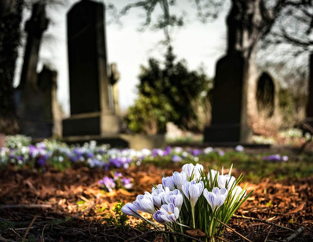 Rencontre nocturne dans un cimetière