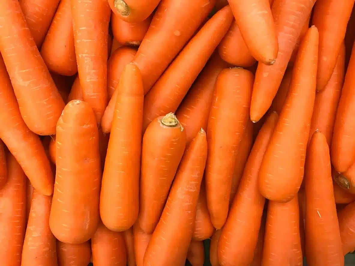 Carottes crues et râpées