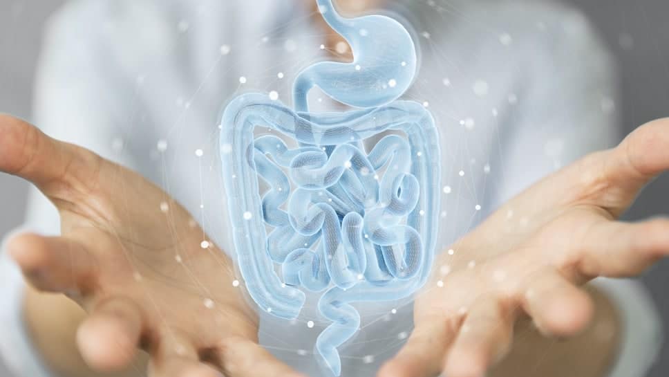 Tasse d'infusion et plantes sur une table en bois