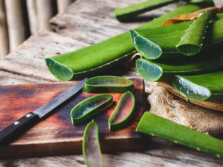 Feuille d'aloe vera et gel frais