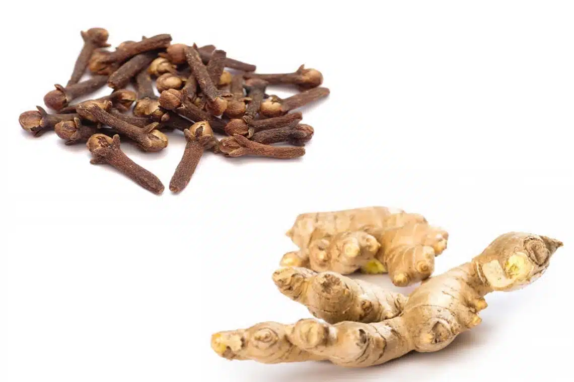 Tisane girofle et gingembre