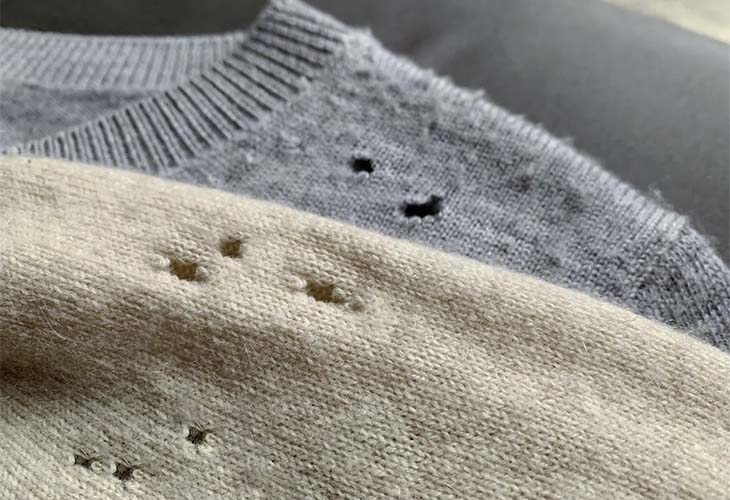 Découvrez pourquoi vos vêtements présentent des trous mystérieux
