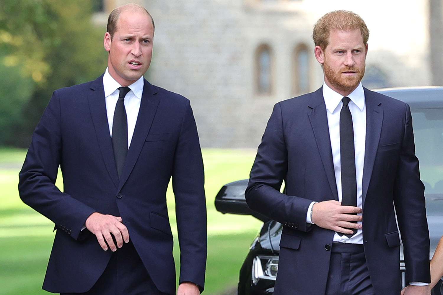 William et Harry marchant ensemble