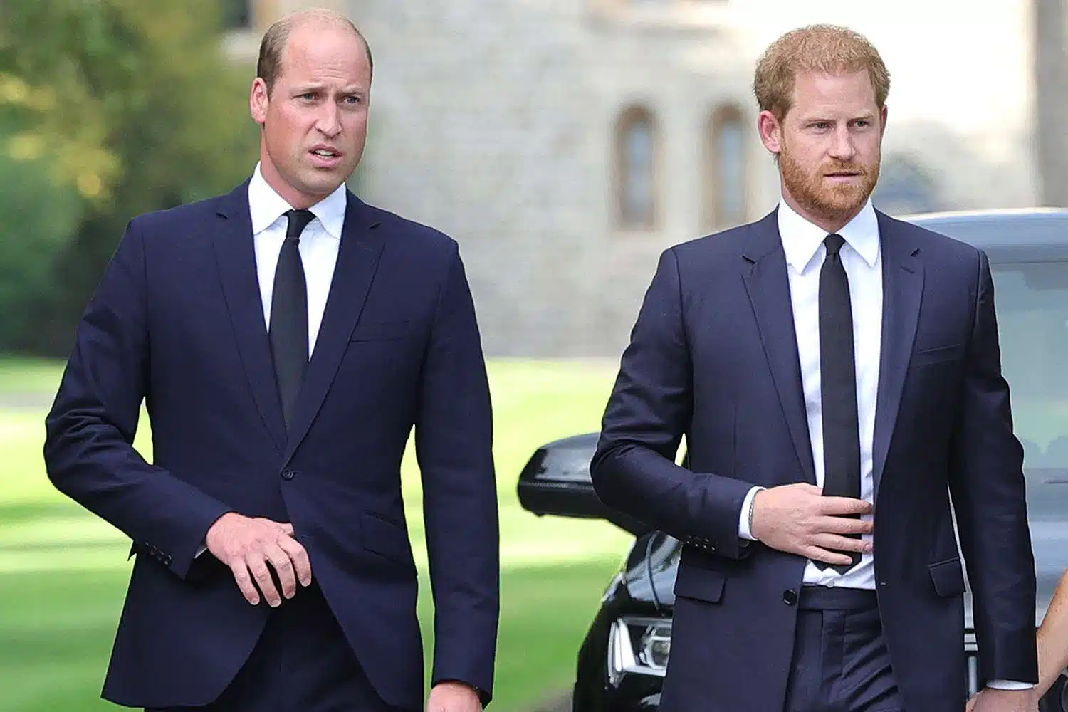 William et Harry marchant ensemble