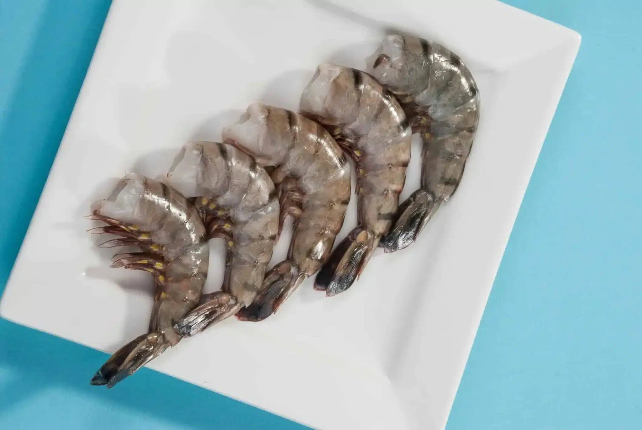 Détail de crevettes Black Tiger montrant leur veine
