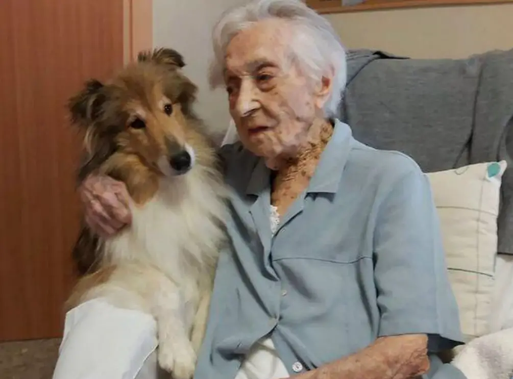 Analyse ADN et recherche sur la longévité