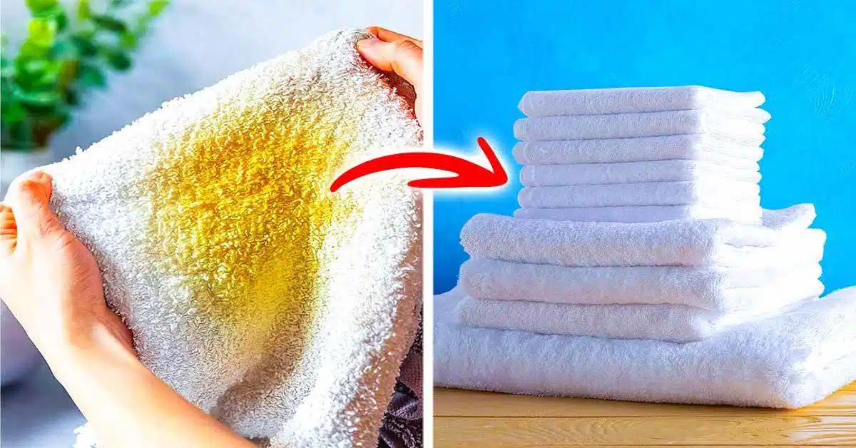 Comparaison avant/après percarbonate
