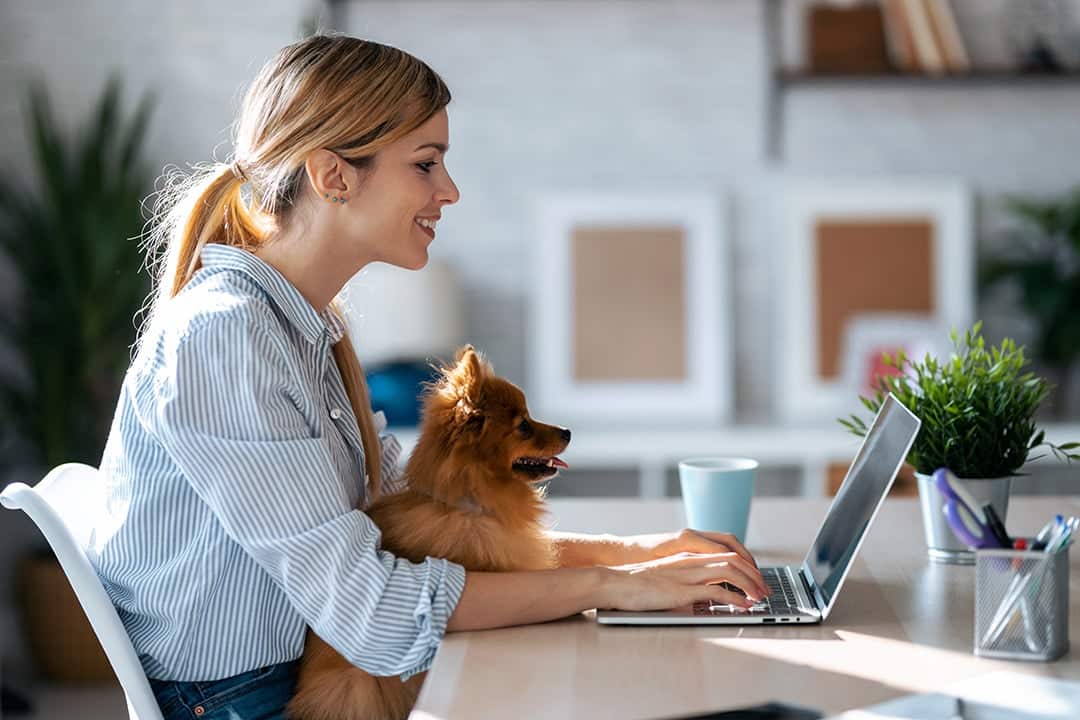 Espace de télétravail moderne