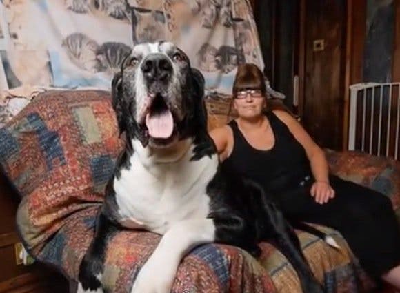 Un couple a adopté ce petit chiot