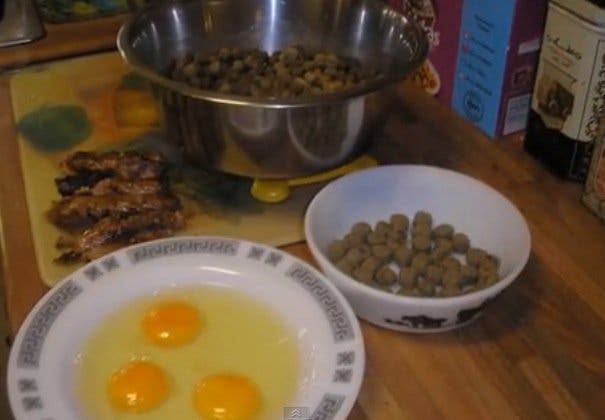 Un couple a adopté ce petit chiot