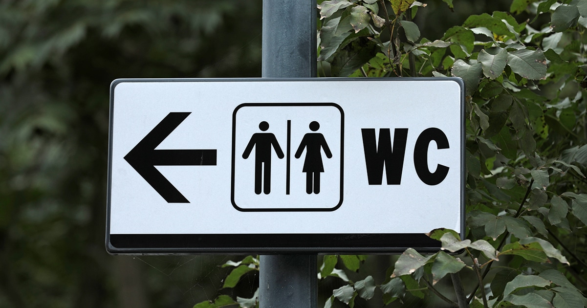 Panneau WC international