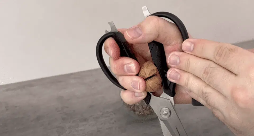 Casser des noix avec des ciseaux