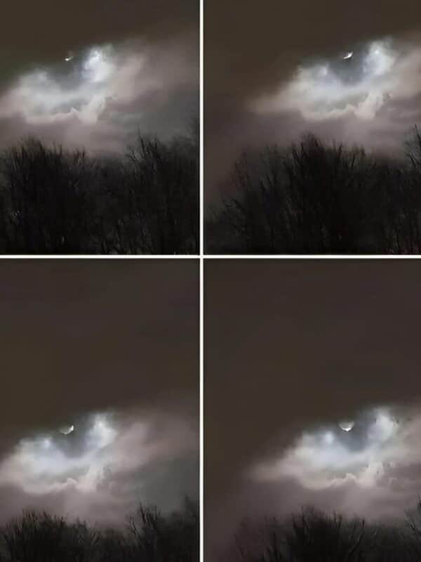 Autre angle de la scène montrant le ciel et la mer, pour contextualiser la découverte