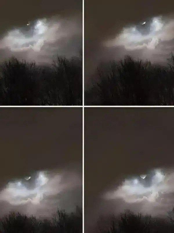 Autre angle de la scène montrant le ciel et la mer, pour contextualiser la découverte