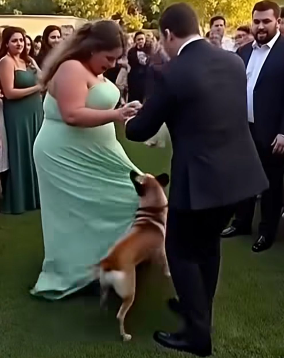 Mariée et son chien lors du mariage