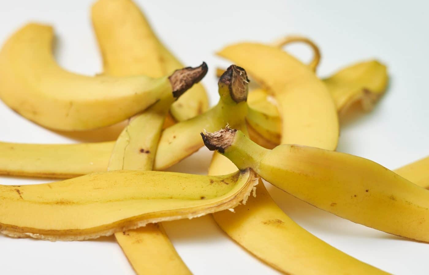 Pelures de banane fraîches sur un plan de travail en bois