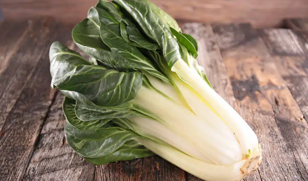 Légumes verts riches en magnésium