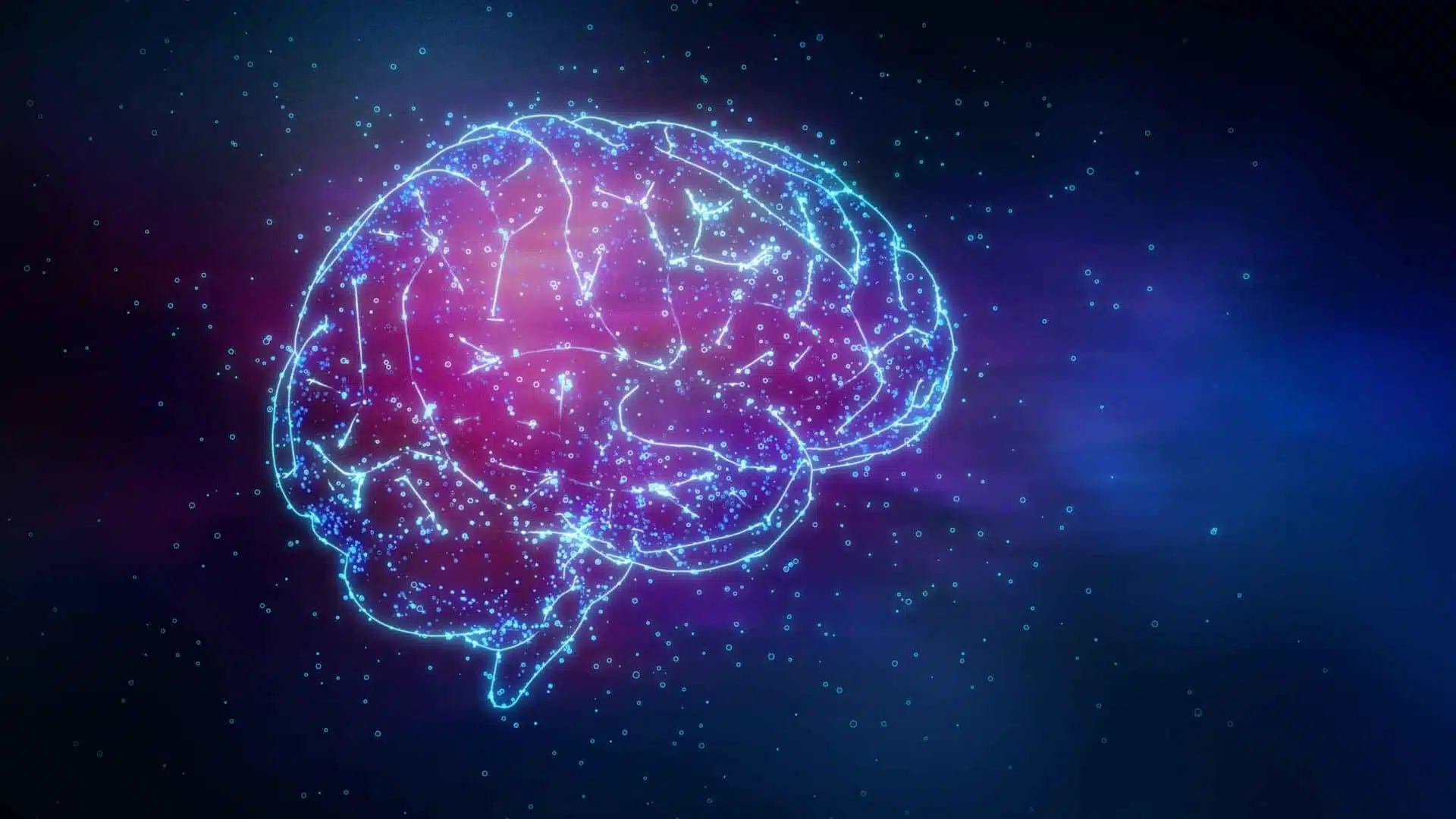 Illustration stylisée d'un cerveau en activité