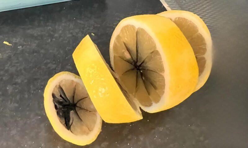 Citron coupé en deux révélant une tache noire à l'intérieur