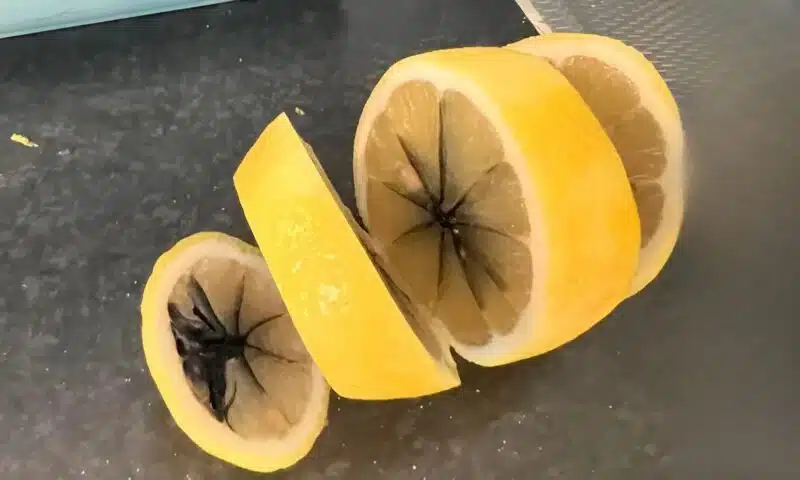 Citron coupé en deux révélant une tache noire à l'intérieur