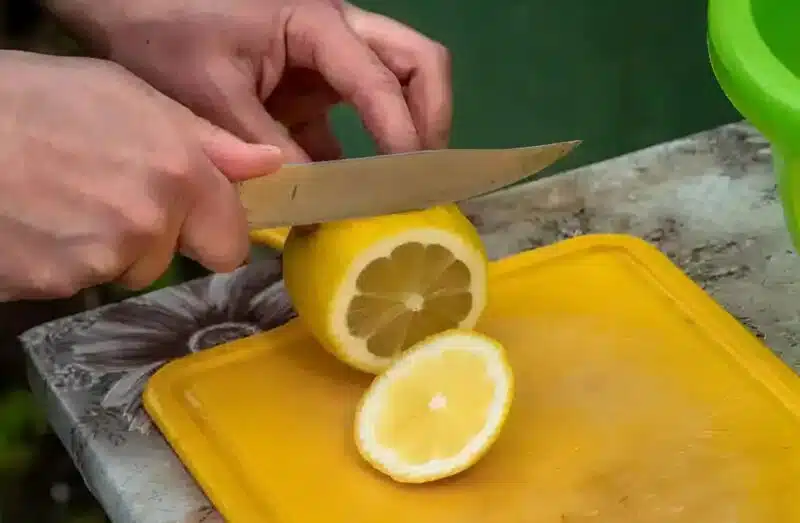 Main tenant un citron présentant une tache noire à l'intérieur