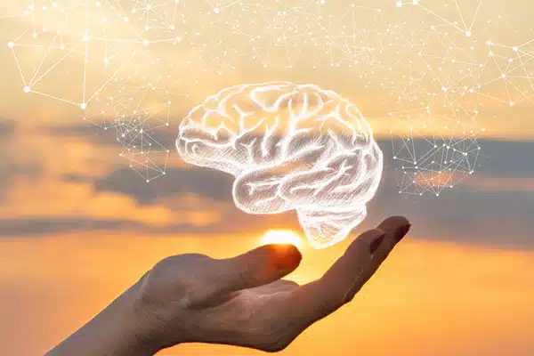 Représentation stylisée d'un cerveau humain