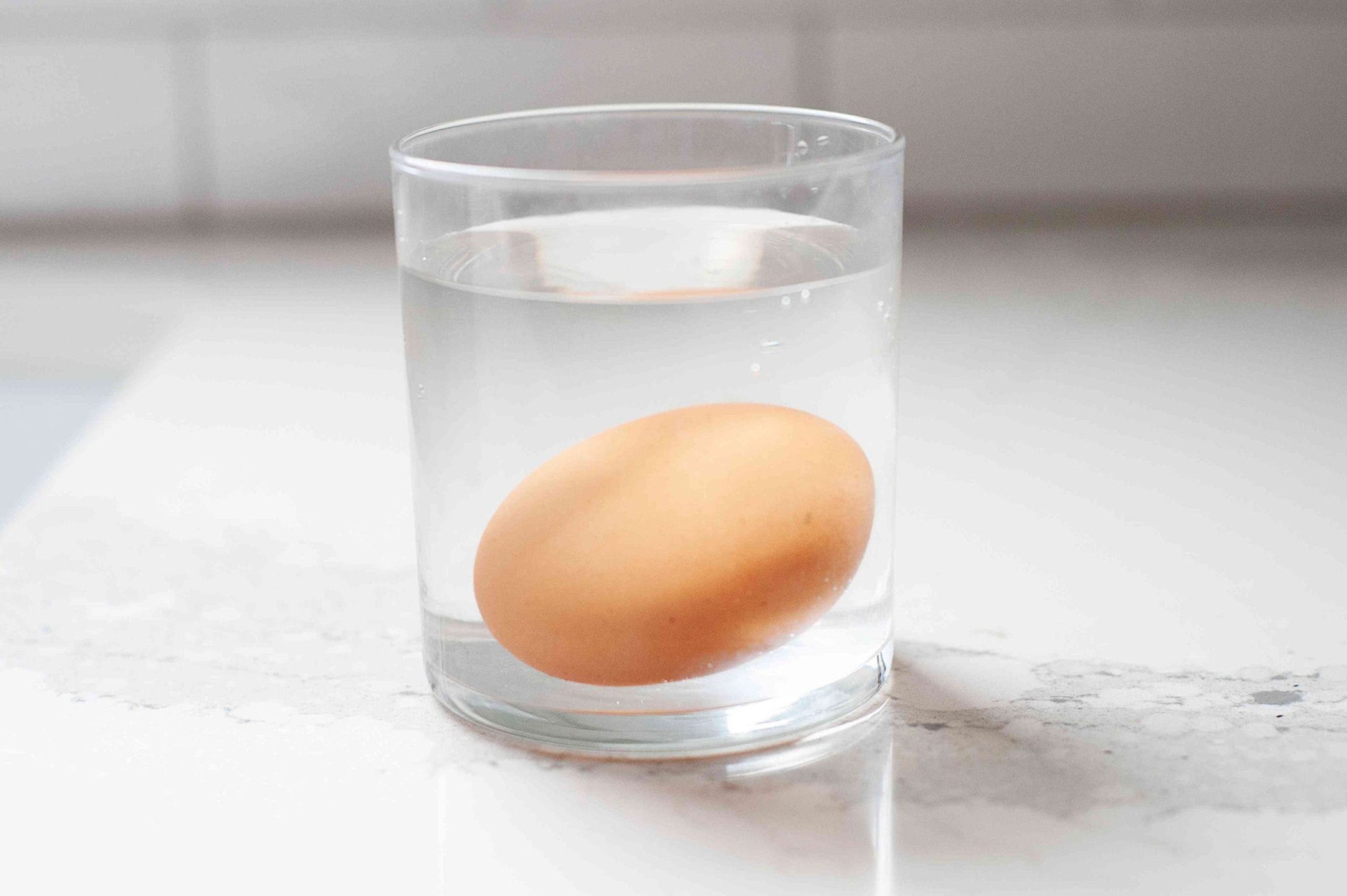 Durée de conservation des oeufs 