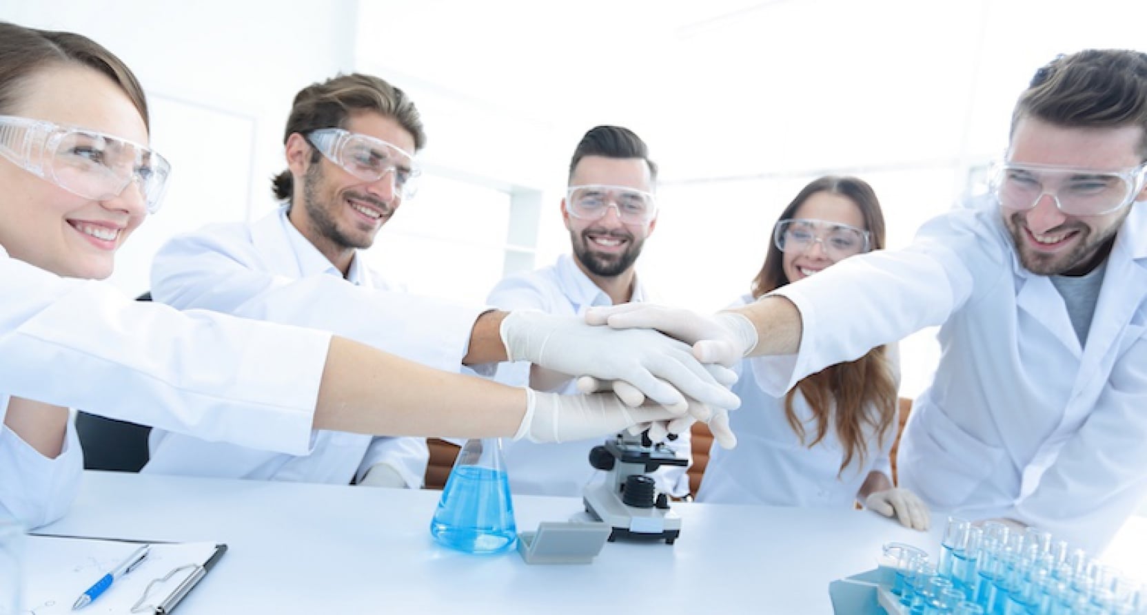 Biologiste observant une culture en laboratoire