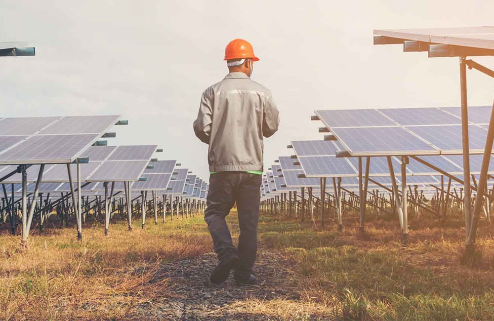 Expert analysant des données énergétiques sur écran dans un champ d'éoliennes