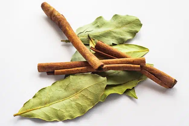 Feuilles de laurier séchées et bâtons de cannelle