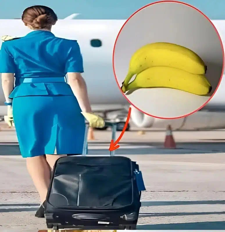 Hôtesse de l'air souriante tenant une banane