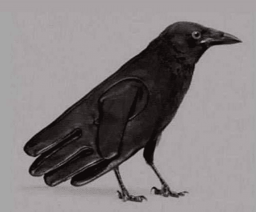 Illustration d'un corbeau perché