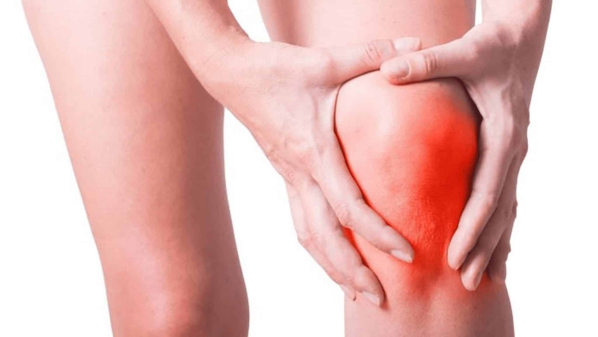 Plante Bledo Blanco utilisée en infusion pour ses propriétés anti-inflammatoires