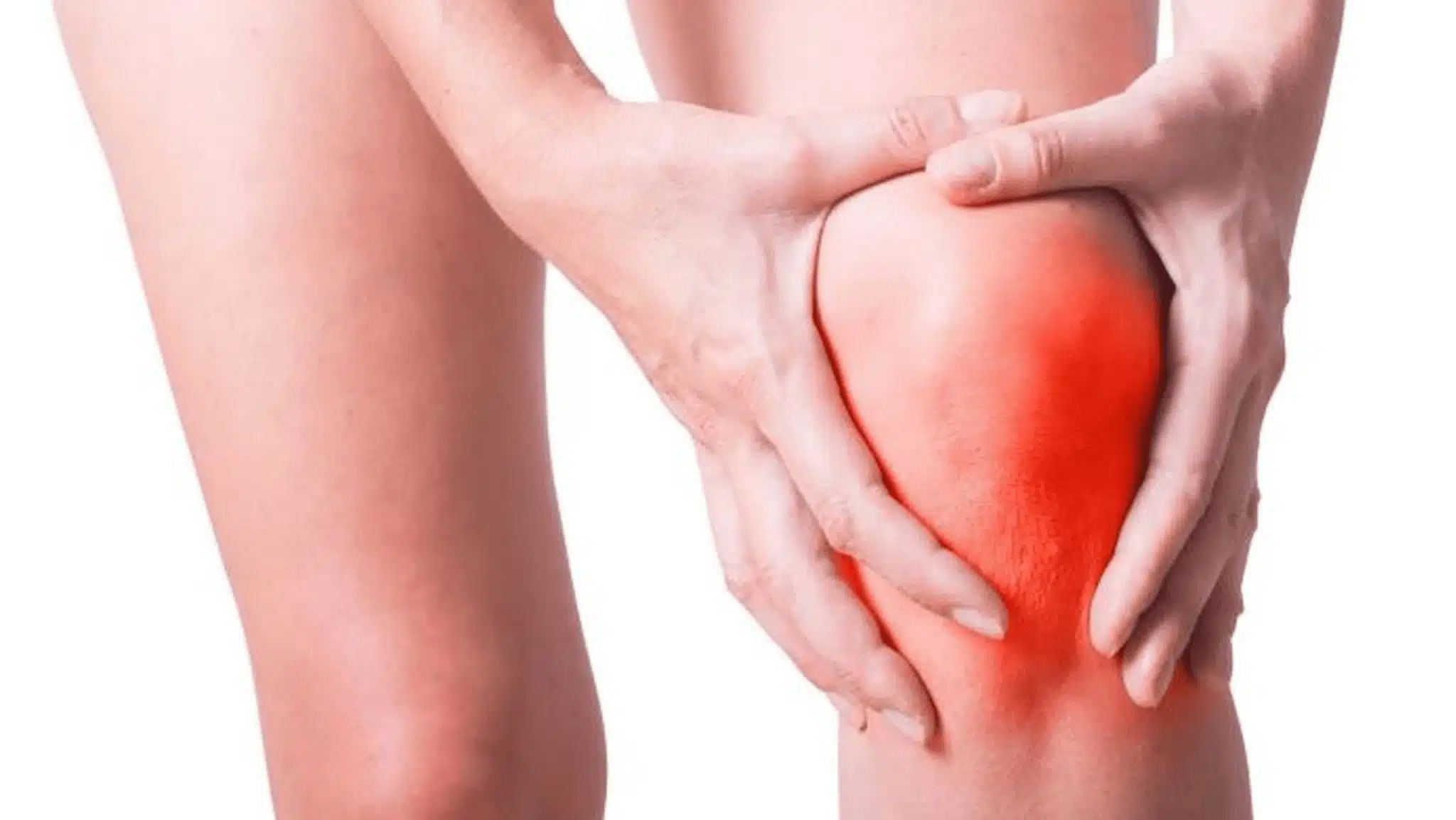 Plante Bledo Blanco utilisée en infusion pour ses propriétés anti-inflammatoires