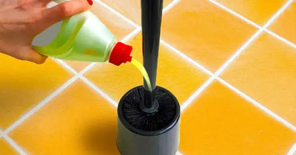 Brosse de toilettes moderne et élégante