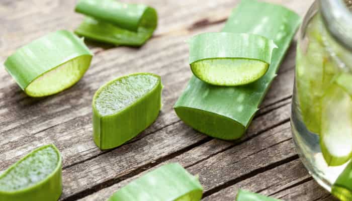 Aloe Vera pour la bouche