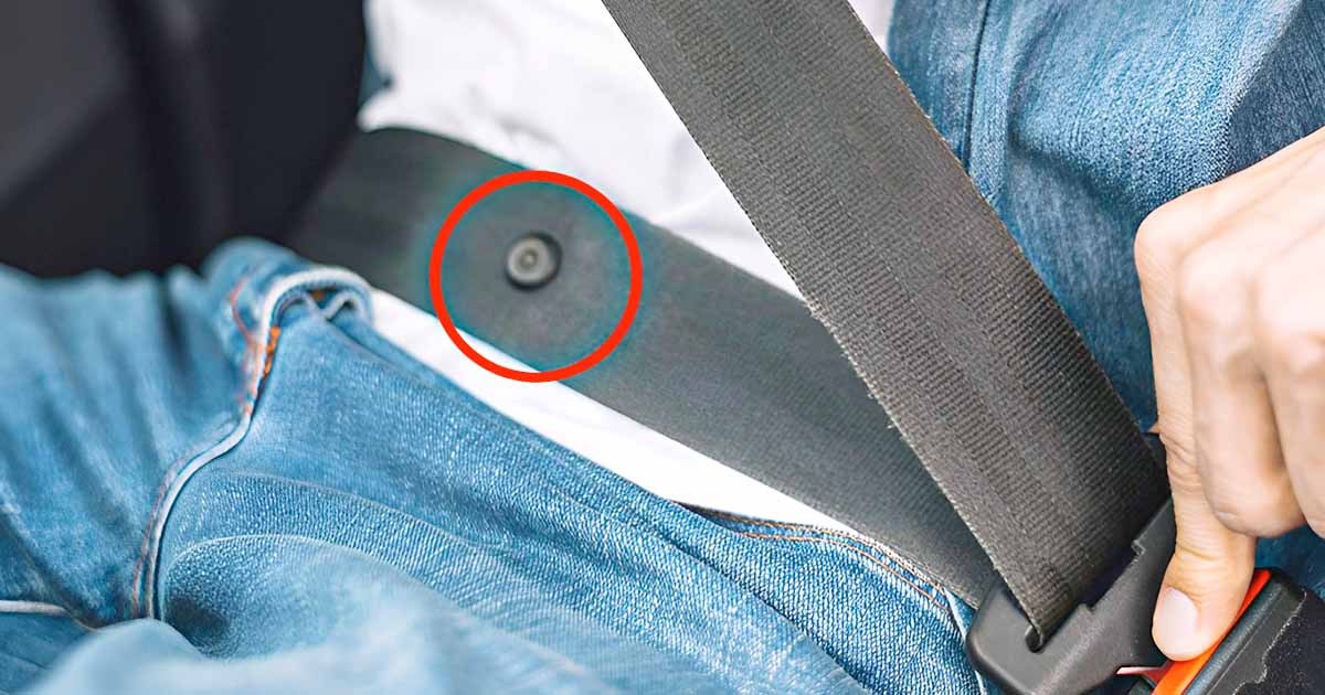 Gros plan sur le petit bouton en plastique d'une ceinture de sécurité de voiture