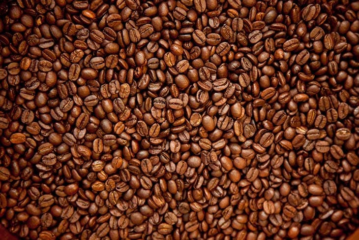 Marc de café pour les plantes 